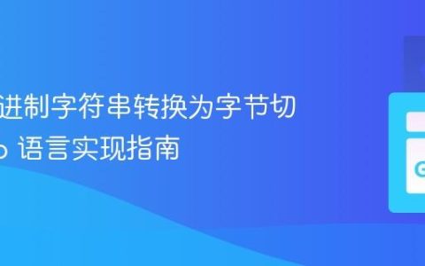 将十六进制字符串转换为字节切片：Go 语言实现指南