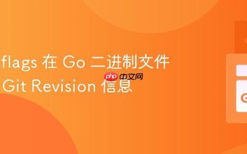 使用 ldflags 在 Go 二进制文件中嵌入 Git Revision 信息