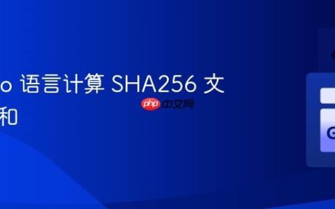 使用 Go 语言计算 SHA256 文件校验和
