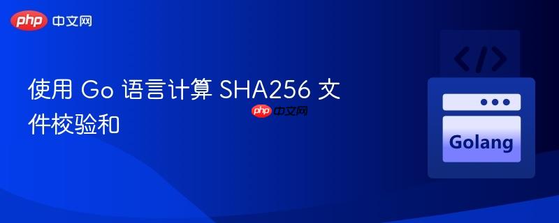 使用 Go 语言计算 SHA256 文件校验和