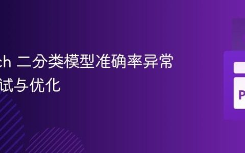 PyTorch 二分类模型准确率异常低的调试与优化