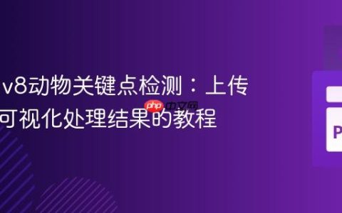 YOLOv8动物关键点检测：上传图像并可视化处理结果的教程