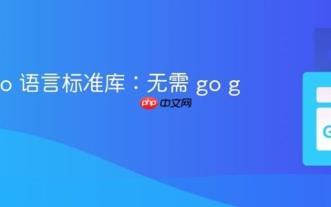 使用 Go 语言标准库：无需 go get