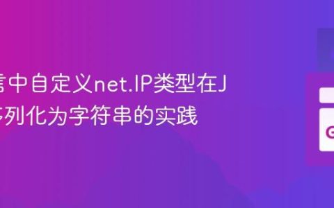Go语言中自定义net.IP类型在JSON序列化为字符串的实践