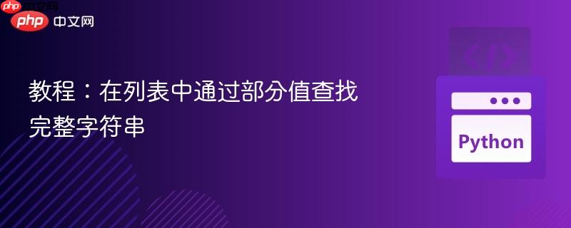 教程:在列表中通过部分值查找完整字符串