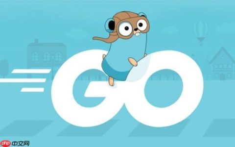 Golang如何使用flag解析命令行参数