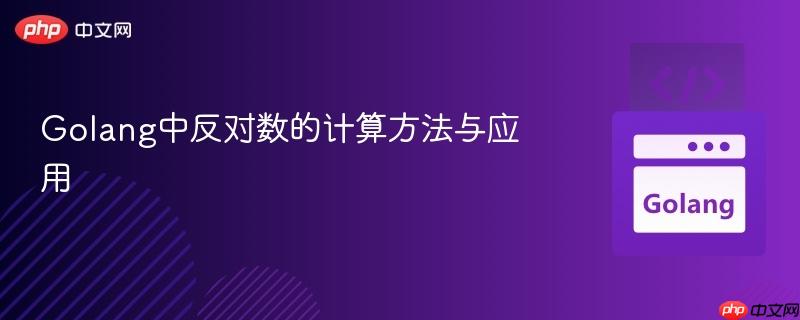 Golang中反对数的计算方法与应用