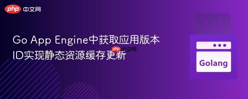 go app engine中获取应用版本id实现静态资源缓存更新