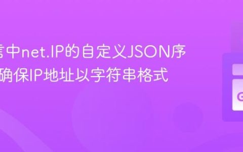 Go语言中net.IP的自定义JSON序列化：确保IP地址以字符串格式输出