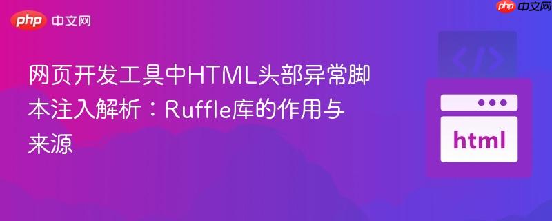 网页开发工具中HTML头部异常脚本注入解析:Ruffle库的作用与来源