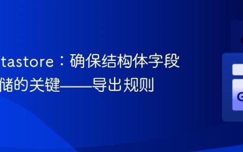 Go Datastore：确保结构体字段正确存储的关键——导出规则