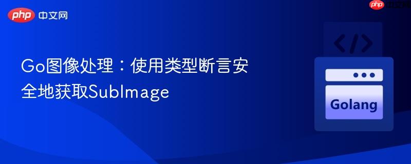 Go图像处理:使用类型断言安全地获取SubImage