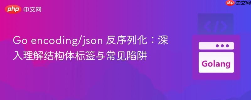 go encoding/json 反序列化:深入理解结构体标签与常见陷阱