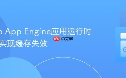 获取Go App Engine应用运行时版本以实现缓存失效