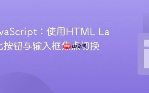 无需JavaScript：使用HTML Label优化按钮与输入框焦点切换