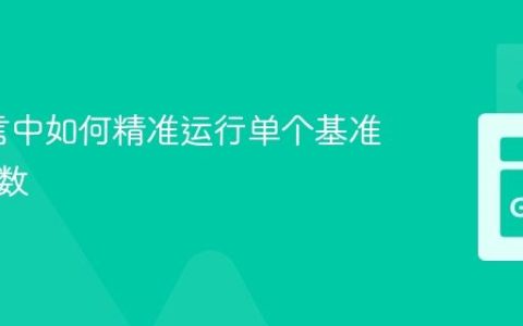 Go语言中如何精准运行单个基准测试函数