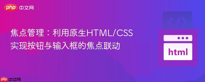 焦点管理:利用原生html/css实现按钮与输入框的焦点联动