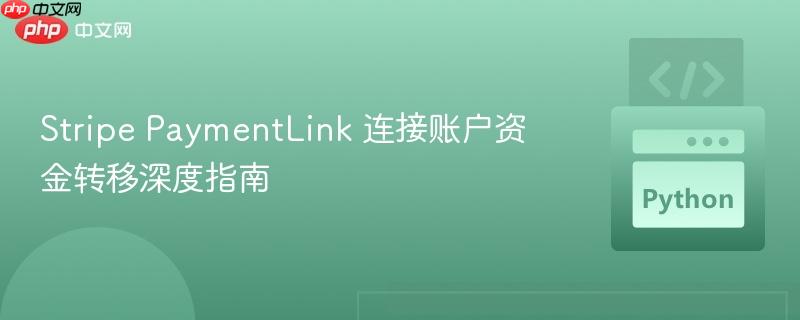 stripe paymentlink 连接账户资金转移深度指南