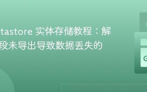 Go Datastore 实体存储教程：解决因字段未导出导致数据丢失的问题