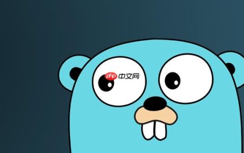 Golang函数参数使用指针和值类型有什么差异