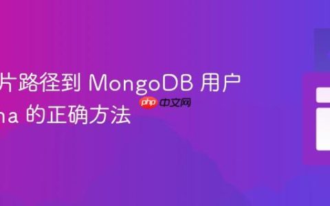上传图片路径到 MongoDB 用户 Schema 的正确方法