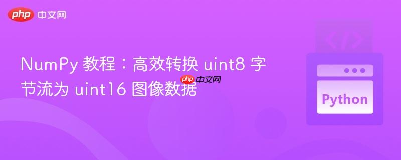 NumPy 教程：高效转换 uint8 字节流为 uint16 图像数据