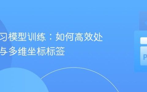 深度学习模型训练：如何高效处理图像与多维坐标标签