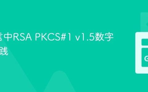 Go语言中RSA PKCS#1 v1.5数字签名实践
