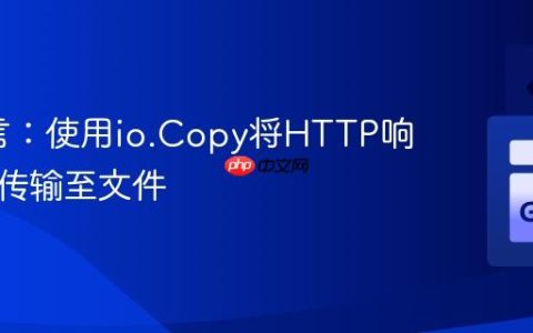 Go语言：使用io.Copy将HTTP响应流式传输至文件