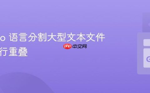 使用 Go 语言分割大型文本文件并实现行重叠