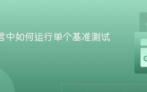 Go 语言中如何运行单个基准测试函数