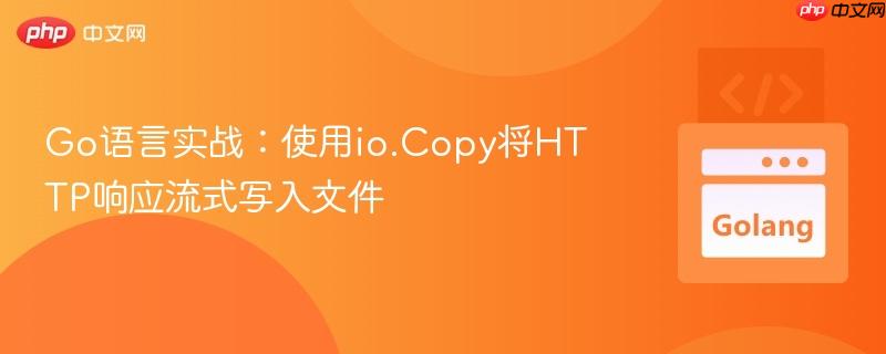 Go语言实战:使用io.Copy将HTTP响应流式写入文件