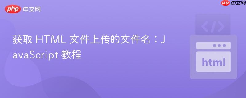获取 html 文件上传的文件名:javascript 教程