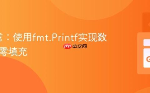Go语言：使用fmt.Printf实现数字前导零填充