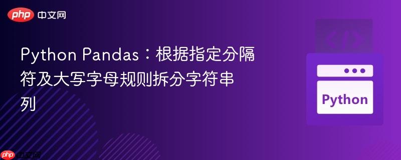 python pandas：根据指定分隔符及大写字母规则拆分字符串列