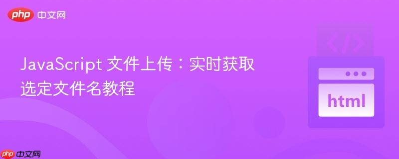 JavaScript 文件上传:实时获取选定文件名教程