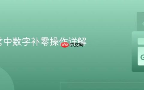 Go语言中数字补零操作详解