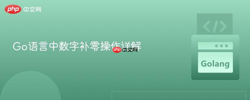Go语言中数字补零操作详解