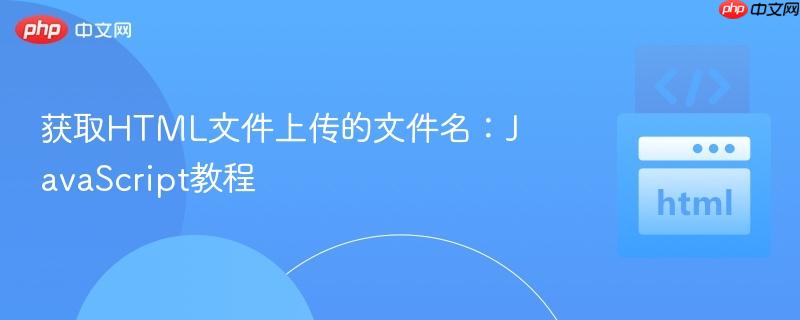 获取html文件上传的文件名:javascript教程