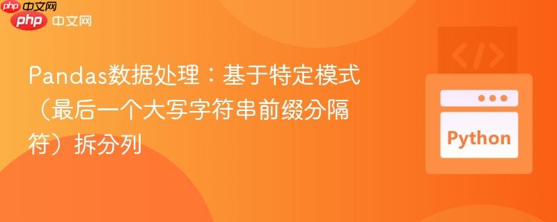 pandas数据处理:基于特定模式(最后一个大写字符串前缀分隔符)拆分列