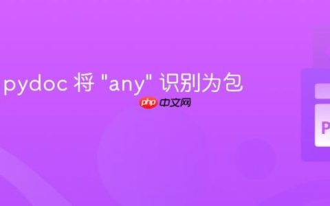 为什么 pydoc 将 "any" 识别为包？