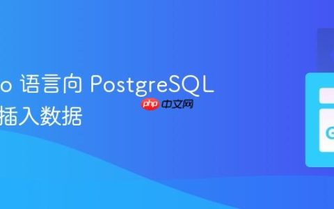使用 Go 语言向 PostgreSQL 数据库插入数据