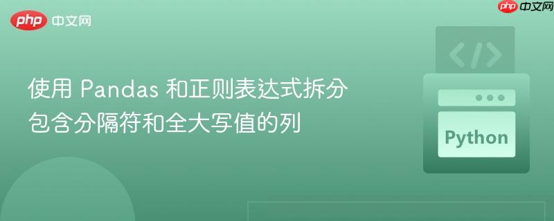 使用 pandas 和正则表达式拆分包含分隔符和全大写值的列