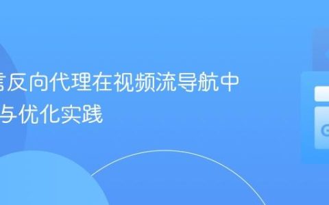 Go语言反向代理在视频流导航中的应用与优化实践