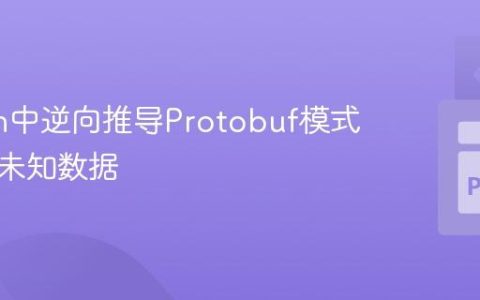 Python中逆向推导Protobuf模式并解码未知数据