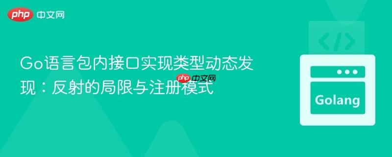Go语言包内接口实现类型动态发现:反射的局限与注册模式