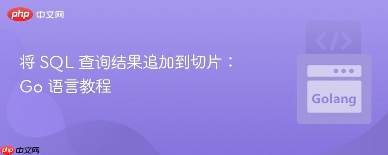 将 SQL 查询结果追加到切片:Go 语言教程