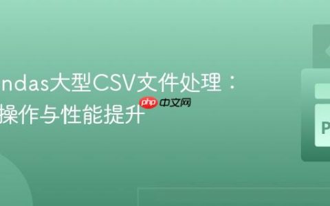 优化Pandas大型CSV文件处理：向量化操作与性能提升