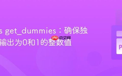 Pandas get_dummies：确保独热编码输出为0和1的整数值
