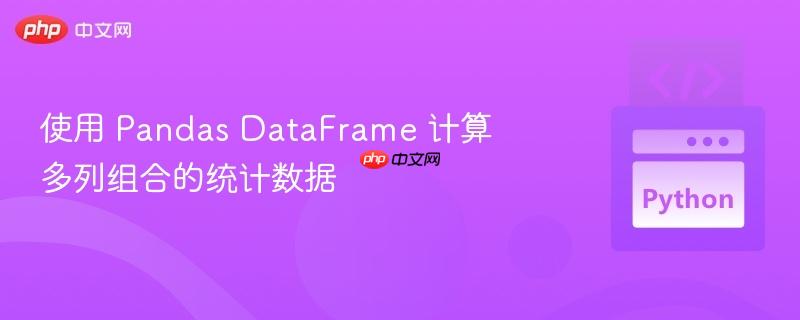 使用 pandas dataframe 计算多列组合的统计数据